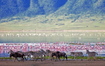 ngorongoro-23.jpg